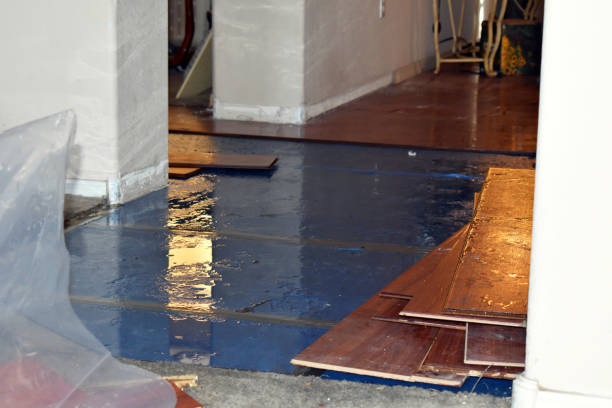 Professional Storm Water Damage Restoration technician working in Higginsville, MO